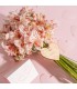 Pink Flowers