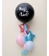 Star Gender Reveal