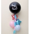 Star Gender Reveal