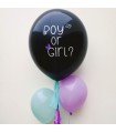 Gender Reveal Loons