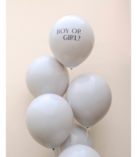 Gender Reveal 2