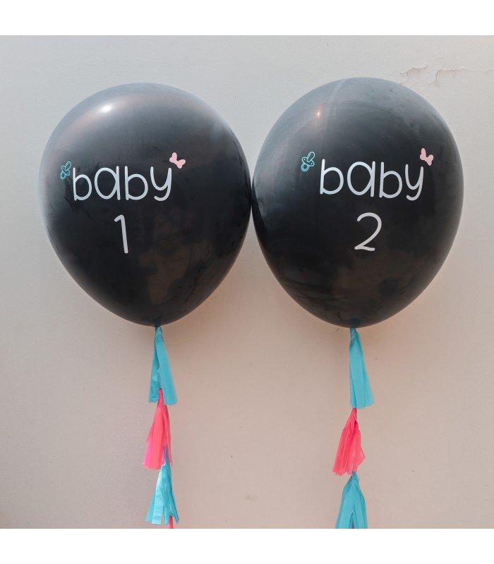 Twins Gender Reveal